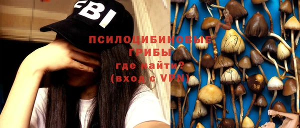 тгк Абаза