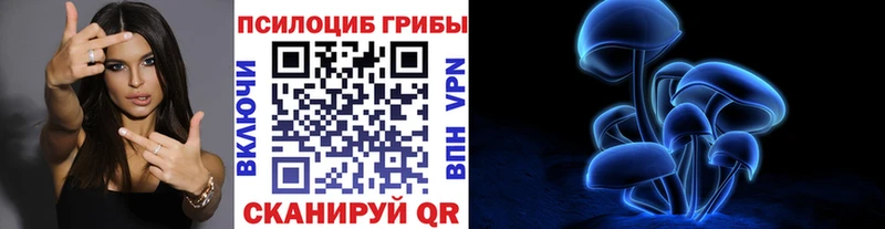 Псилоцибиновые грибы прущие грибы  Кашин 